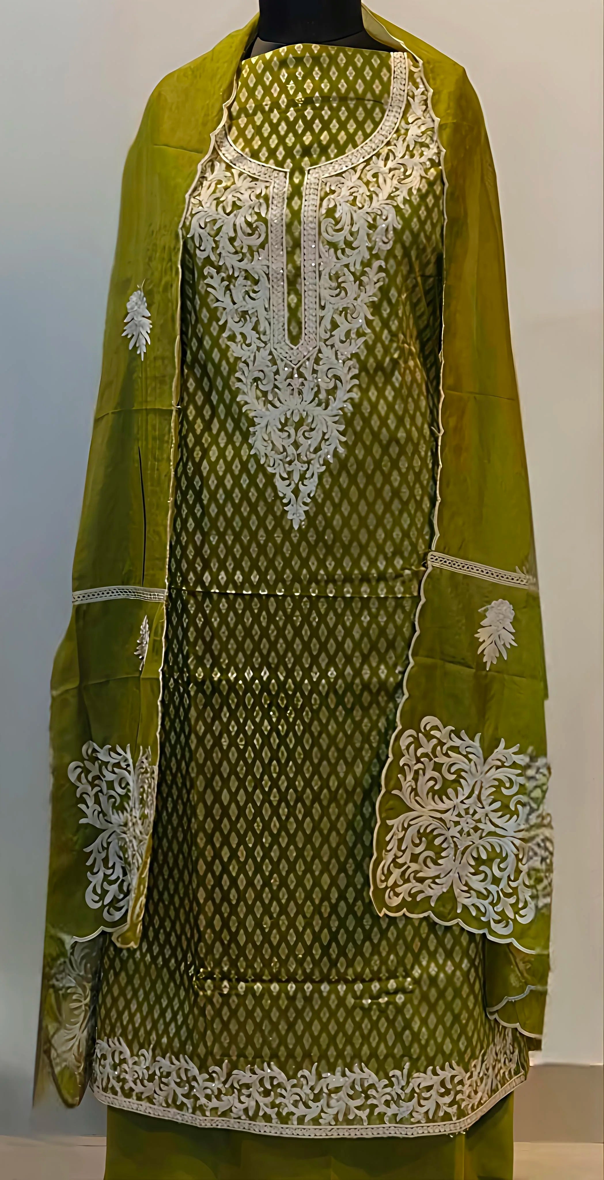 Pistachio Elegance Embroidered Suit Set